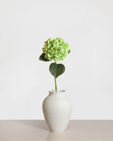 Hydrangea Flower — Green