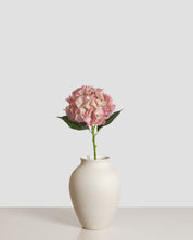 Hydrangea Flower — Pink