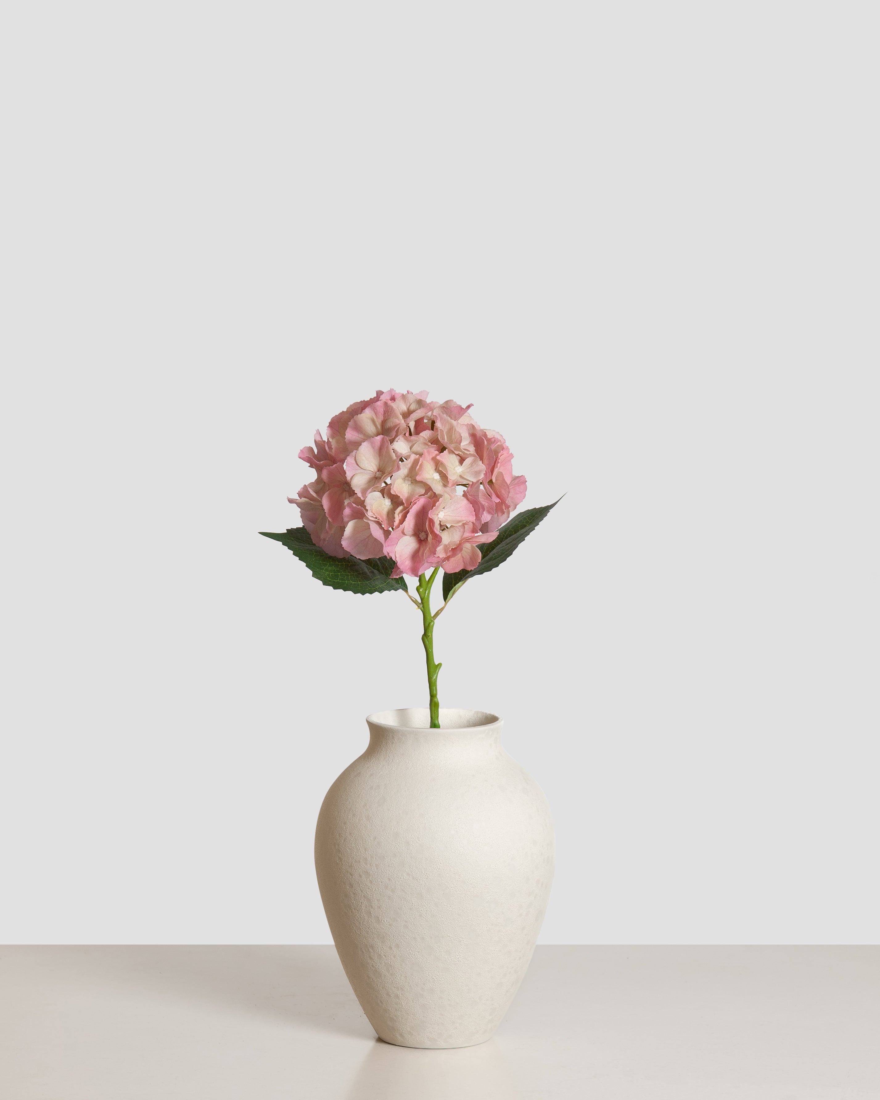 Hydrangea Flower — Pink