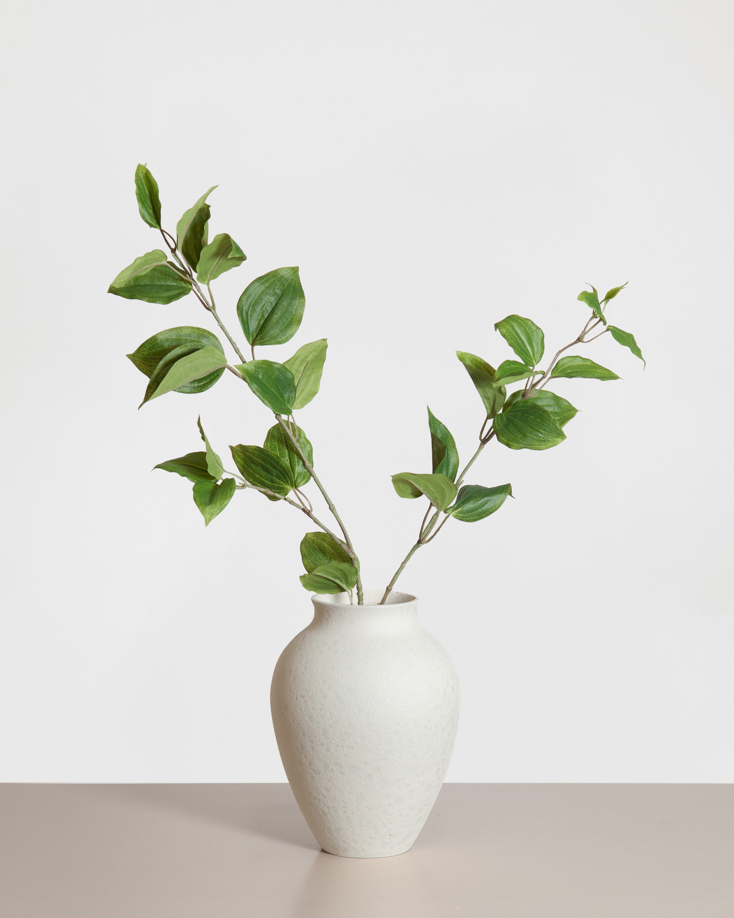 Clematis Leaf Spray — Green