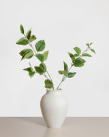 Clematis Leaf Spray — Green