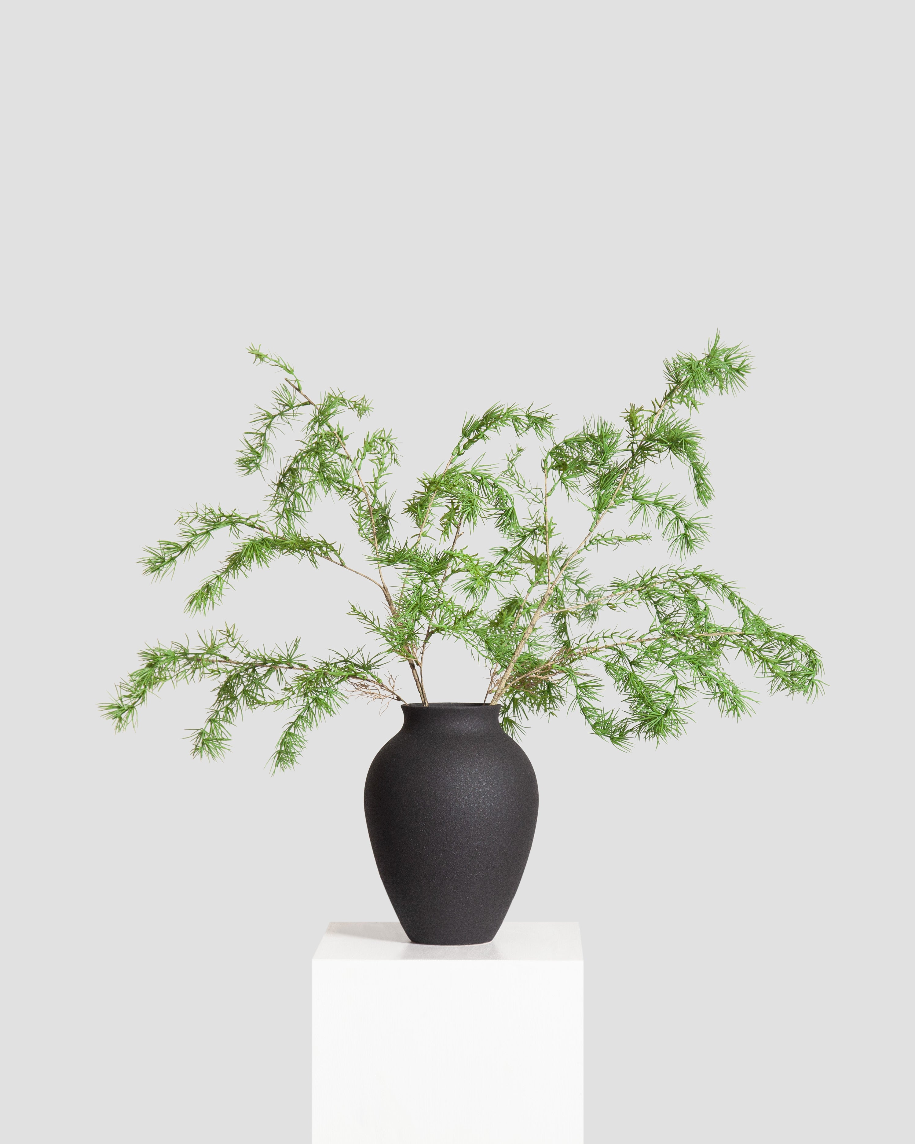 Cryptomeria Japonica Bouquet