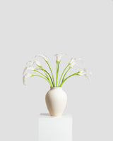 Calla Lily Bouquet — White