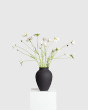 Cosmo Daisy Bouquet — White