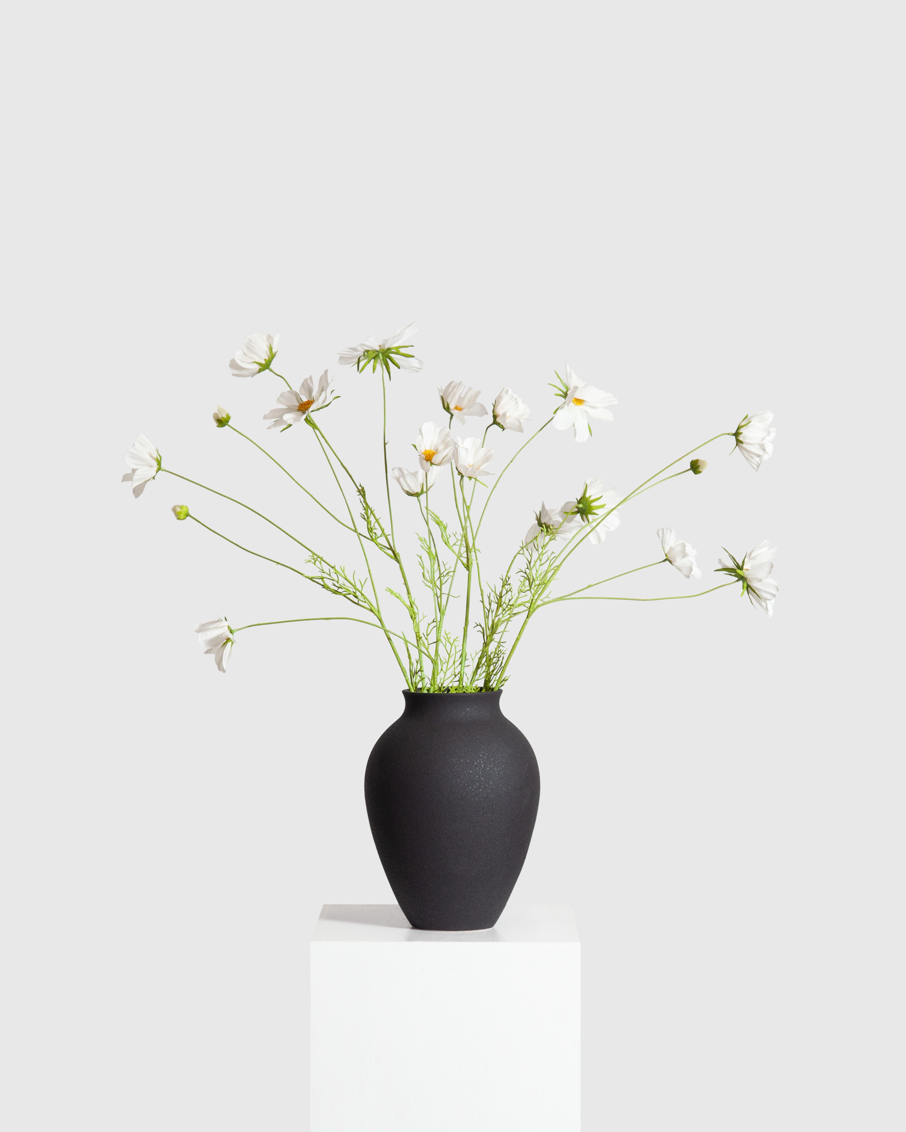 Cosmo Daisy Bouquet — White