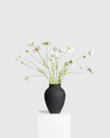 Cosmo Daisy Bouquet — White