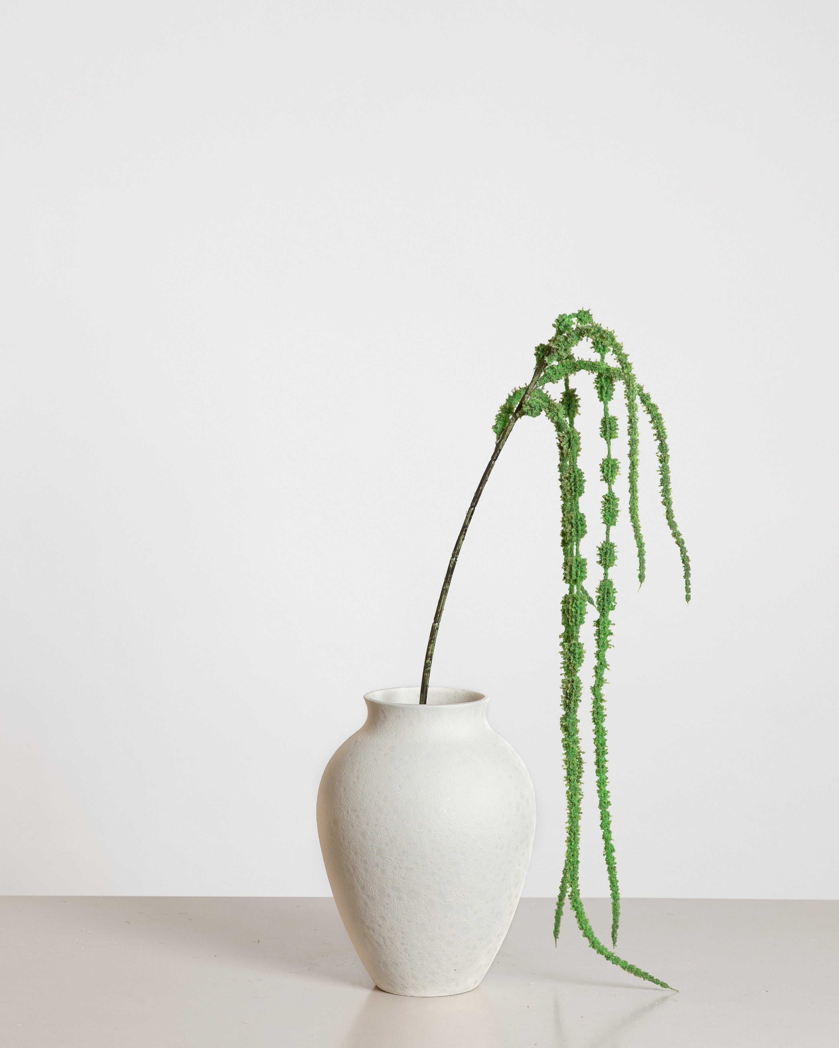 Amaranthus Flower — Green