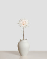 Dahlia Café au Lait — Cream