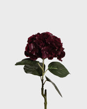 Hydrangea Flower — Burgundy